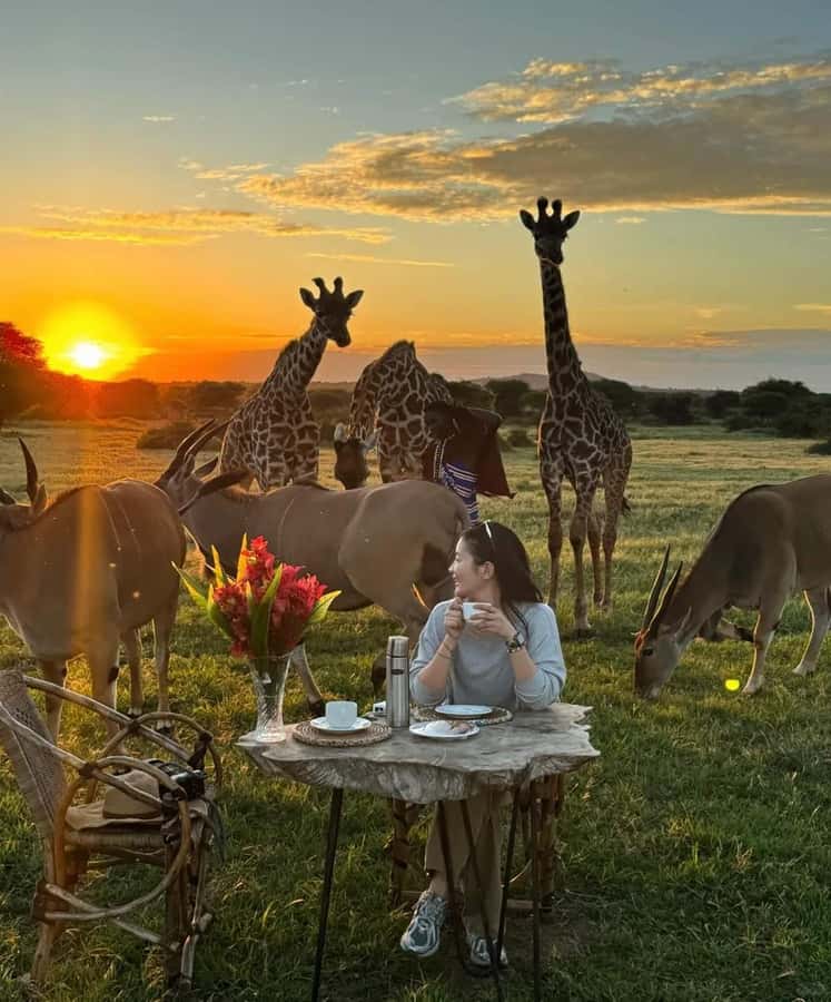 SERVAL WILDLIFE DAY - TOUR FROM ARUSHA, MOSHI OR ZANZIBAR. - Arriving Near Mount Kilimanjaro