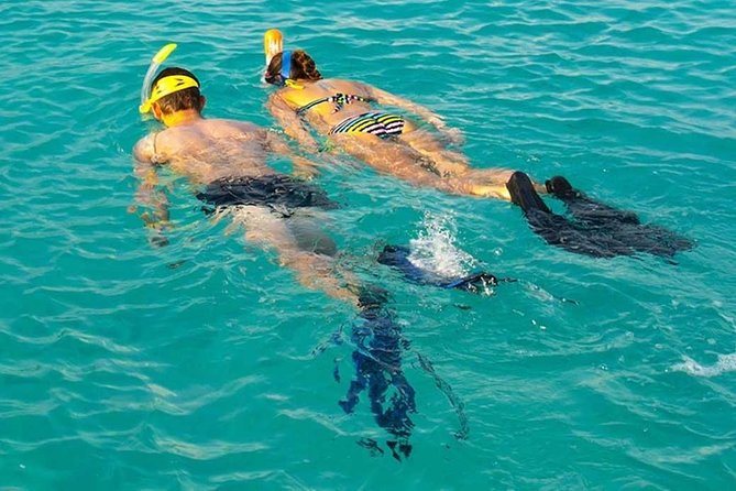 Snorkeling at Mnemba Atoll - Key points to know before booking