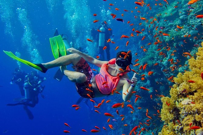 Snorkeling at Mnemba Atoll - Practical details for a smoother day