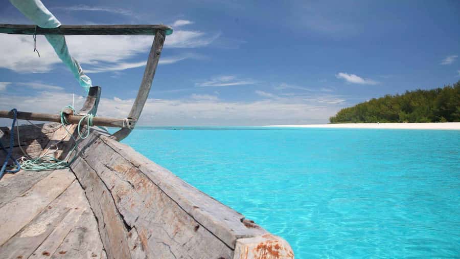 Snorkeling With Dolphin At Mnemba Island, Zanzibar - Key points to know before booking