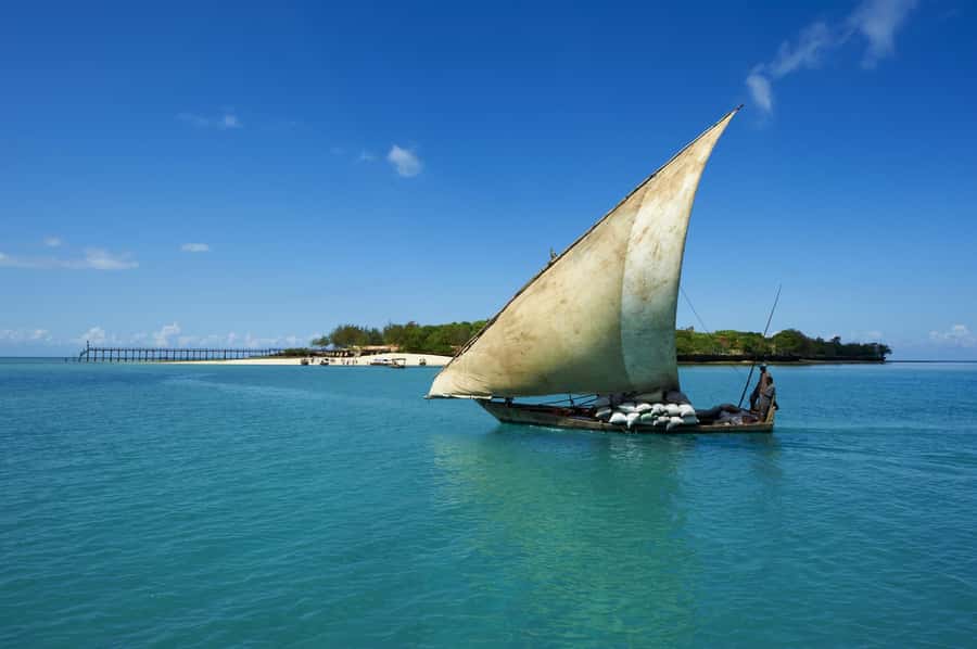 Snorkeling With Dolphin At Mnemba Island, Zanzibar - Fresh fruit and a seafood BBQ on the beach