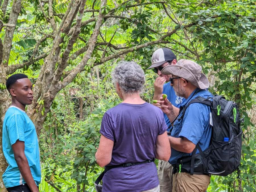 Spice Farm Bike Tour: Pedal Through Aromatic Adventures - A Swahili lunch with a village welcome