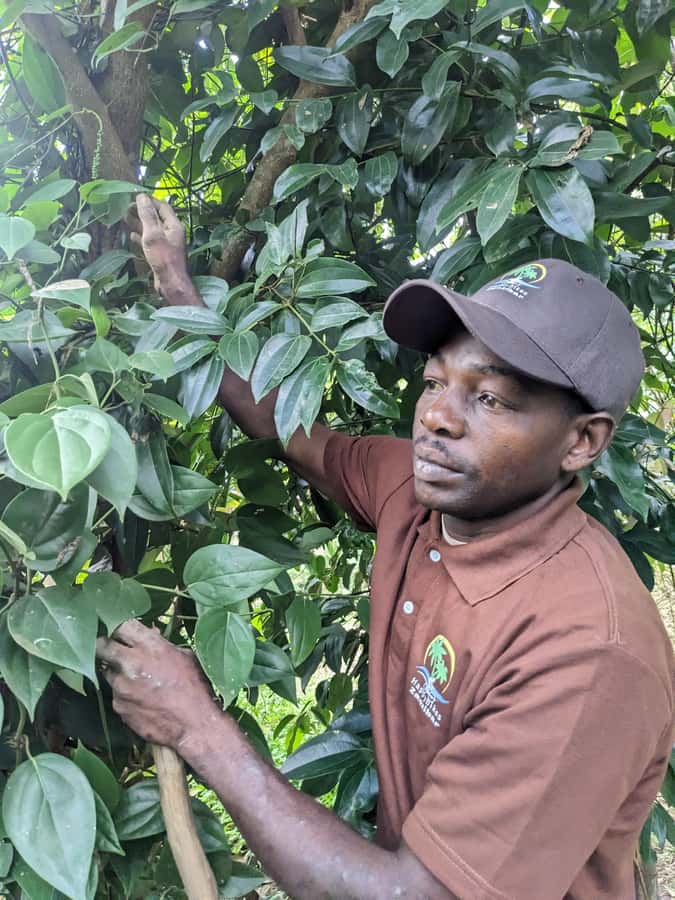 Spice Farm Bike Tour: Pedal Through Aromatic Adventures - What the $60 price includes