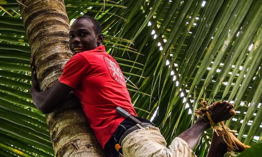 Spice Farm - spice up your life in Zanzibar - The scents that make the walk memorable