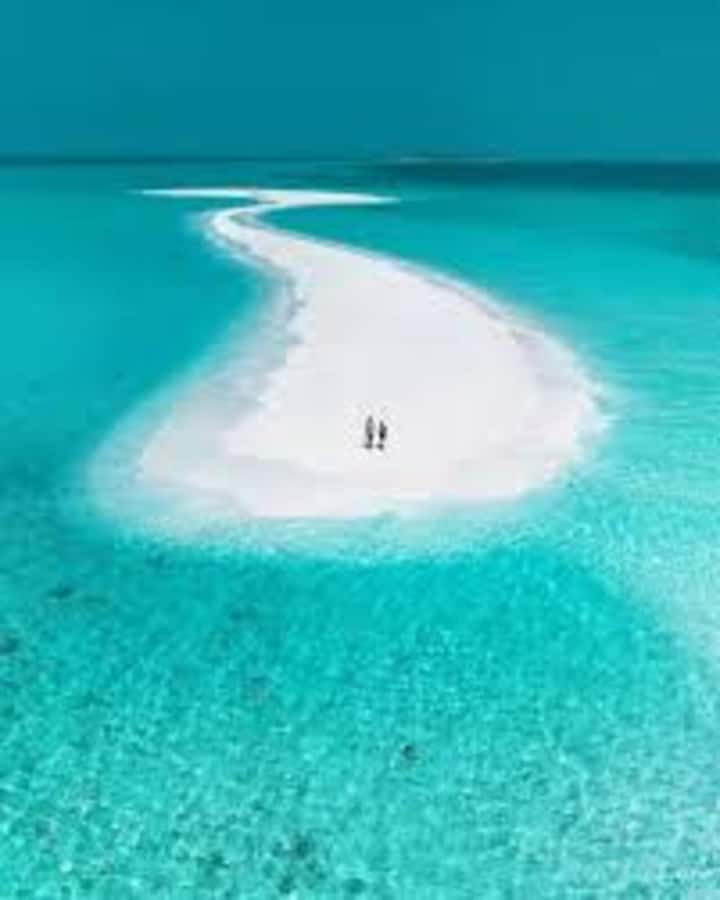 Spice farm,Stone town and Jozani forest tour with lunch - Why this three-stop Zanzibar tour works