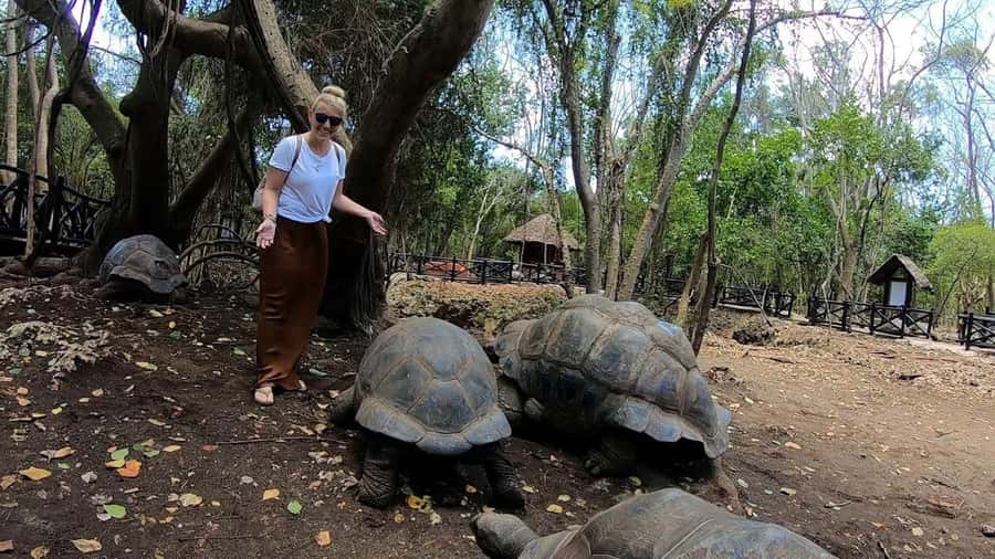Spice farm,Stone town and Jozani forest tour with lunch - Walking through the spice farm