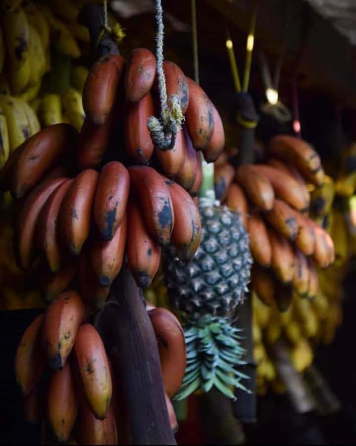 Spice tour+ Stone town walking tour - Why combine a spice plantation with Stone Town?