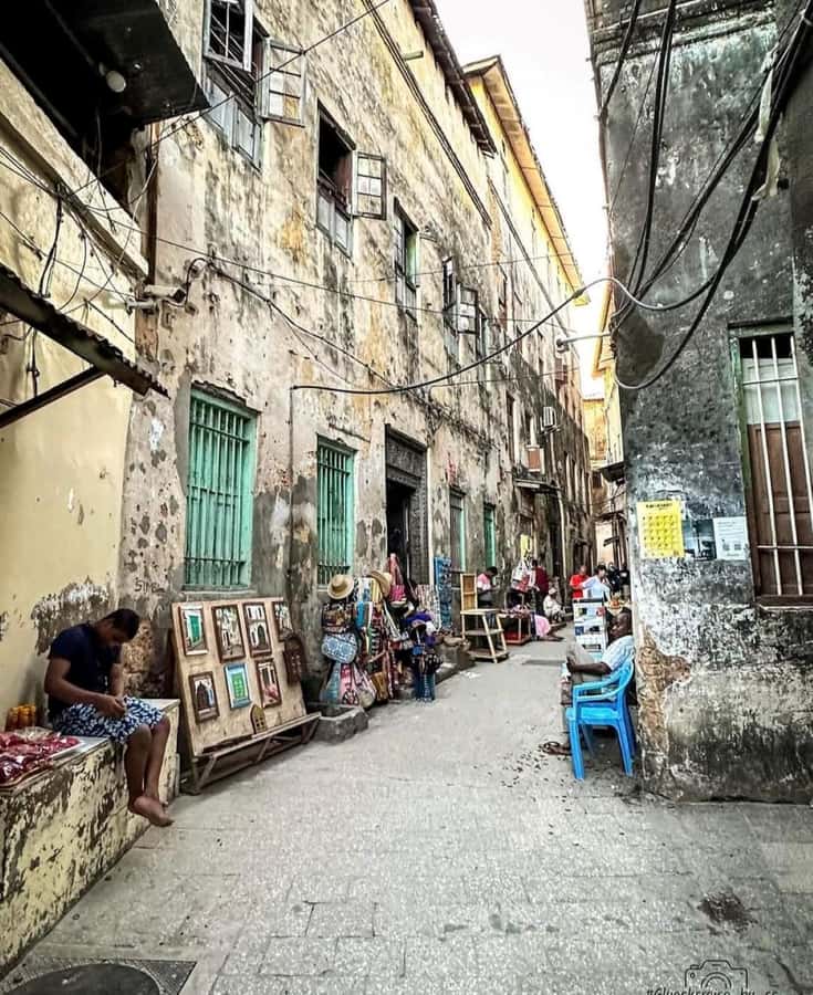 Spice tour+ Stone town walking tour - Darajani Fish Market and daily Stone Town