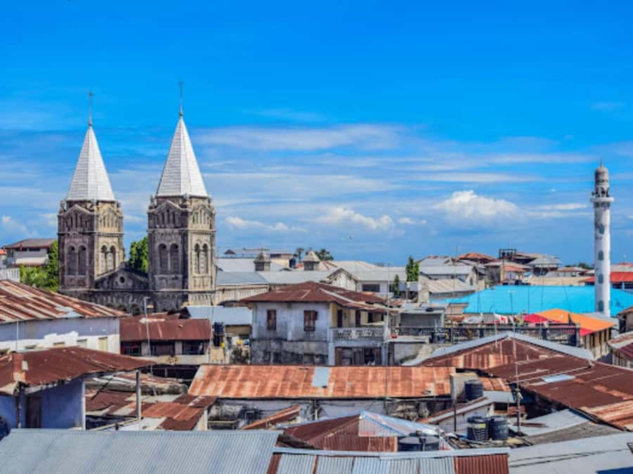 STONE TOWN AND SPICE FARM TOUR - Who will enjoy this day most
