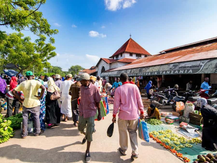 STONE TOWN AND SPICE FARM TOUR - Why the spice farm gives Stone Town more meaning