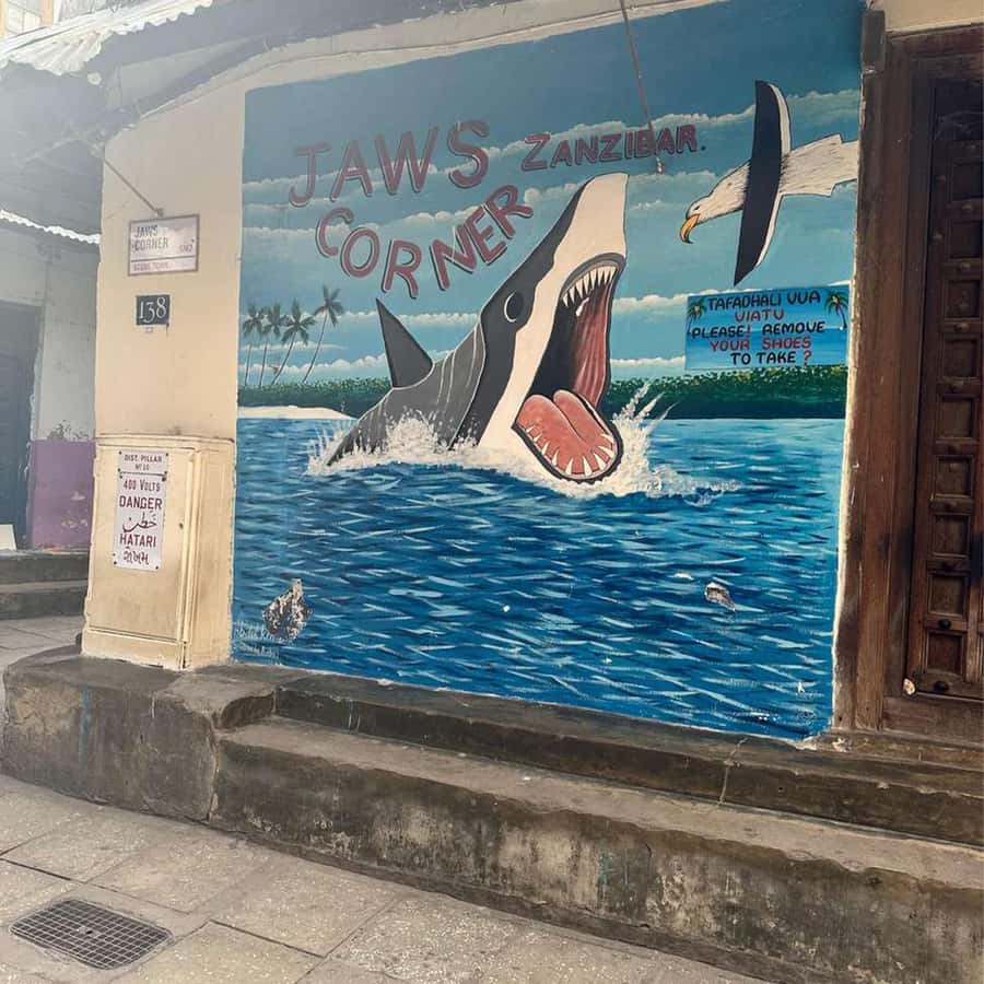 Stone Town Guided Tour: Culture, Slave Market & Spice Market - Why a walking tour makes sense in Stone Town