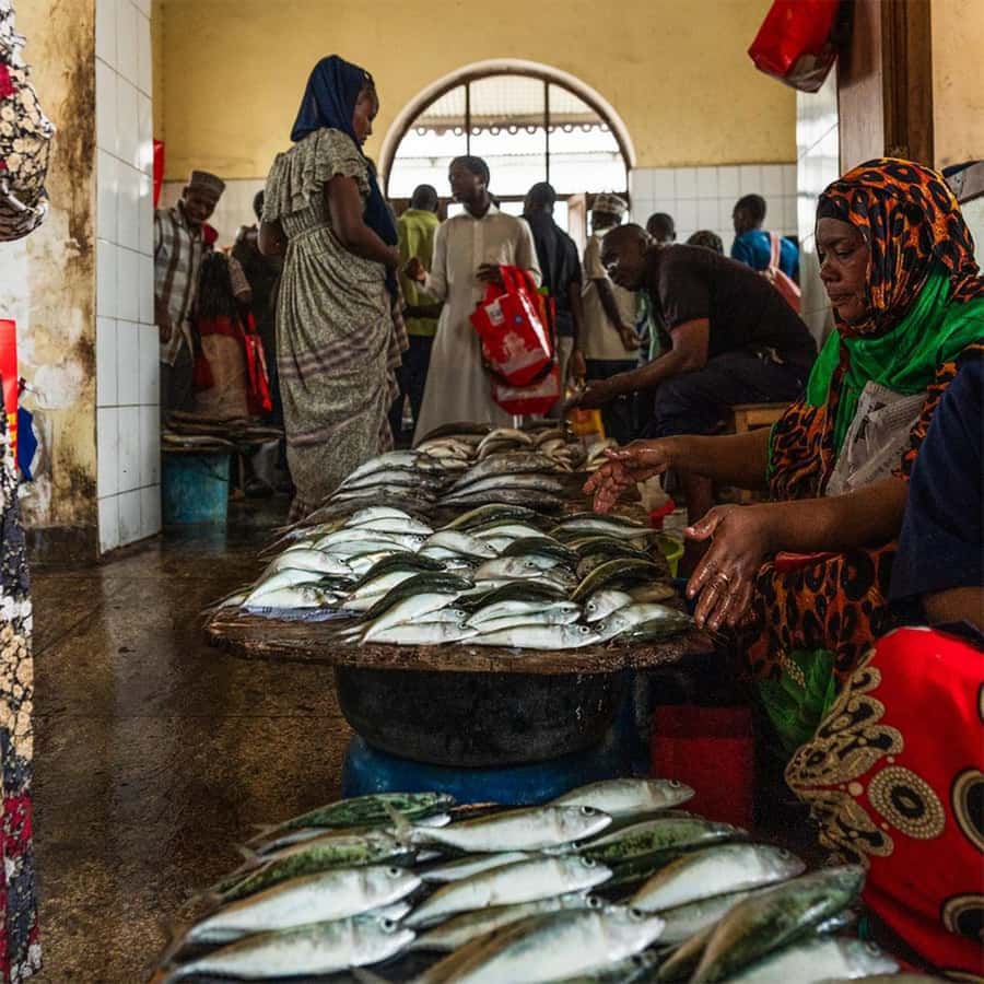 Stone Town Guided Tour: Culture, Slave Market & Spice Market - Darajani Market, where the city feels everyday