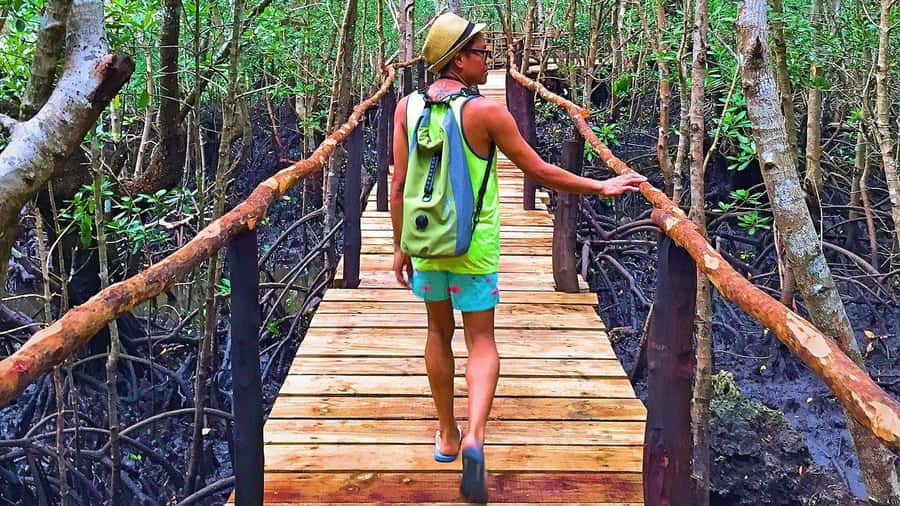 Stone Town: Jozani Chwaka Bay National Park Half-Day Tour - Why Jozani Forest is worth your time