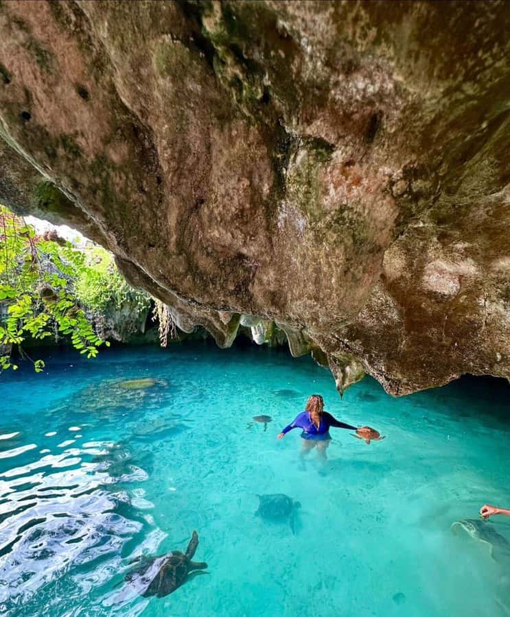Stone Town, Jozani Forest, Sea Turtles & The Rock Restaurant - Who should book this Zanzibar tour?