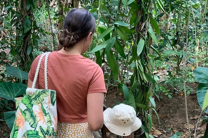 STONE TOWN, PRISON ISLAND AND SPICE FARM ( Lunch included ) - Should you book it?