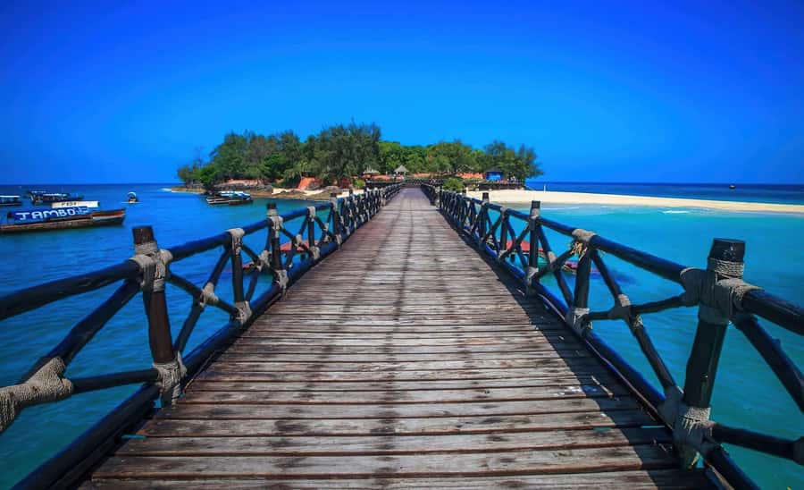 Stone Town, Prison Island, Sea Turtles & The Rock Restaurant - Prison Island and its century-old tortoises