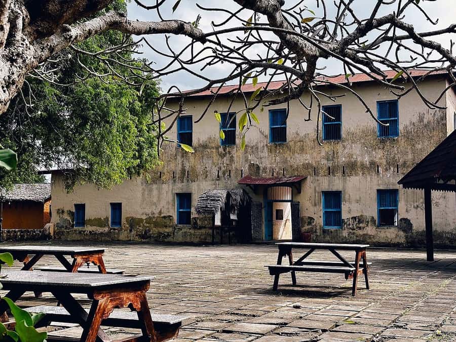 Stone Town, Prison Island, Sea Turtles & The Rock Restaurant - The Rock Restaurant and the southeast coast