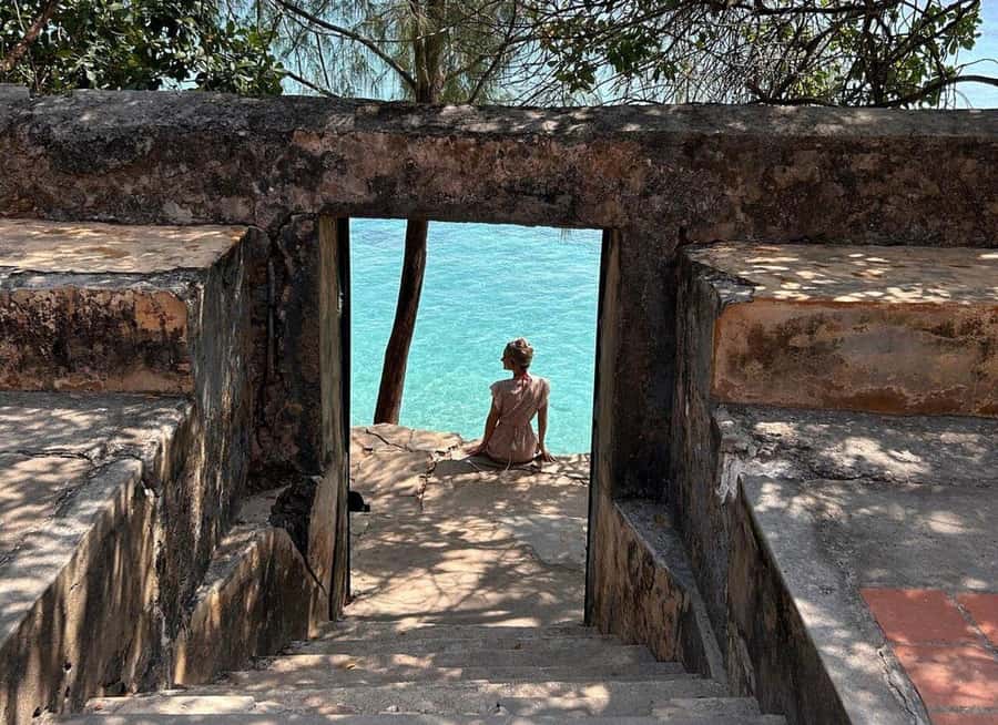 Stone Town, Prison Island, Sea Turtles & The Rock Restaurant - Who should book this experience