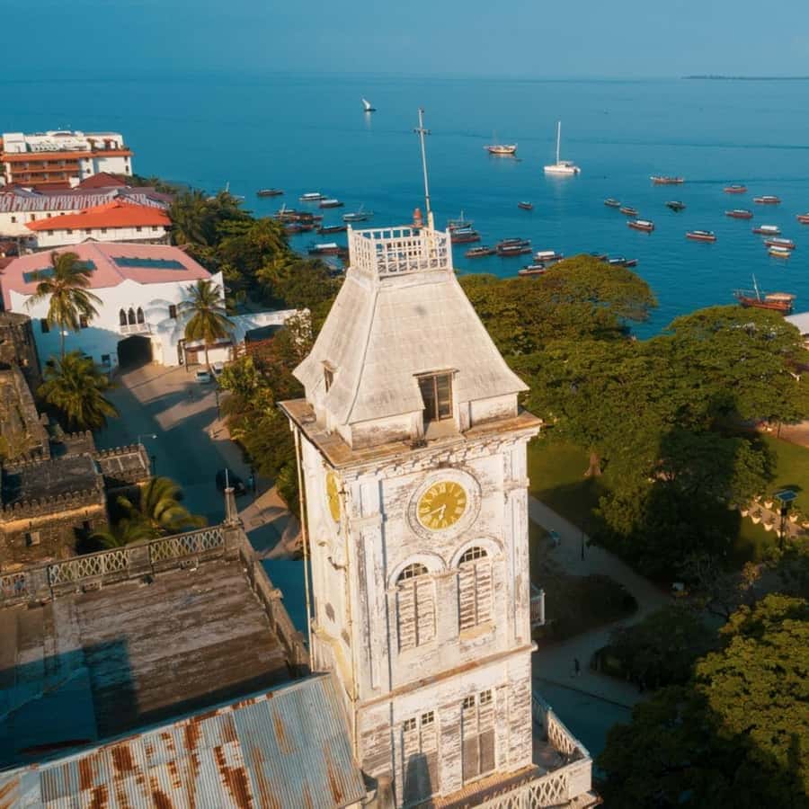 Stone Town, Prison Island Turtles & Nakupenda Sandbank - Who will enjoy this day most