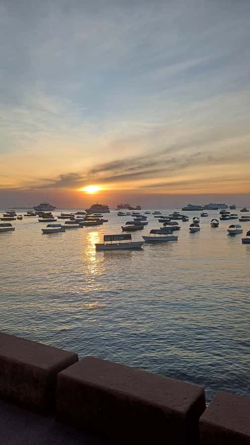 Stone Town Private Guided Walking Tour - Darajani Market and everyday Zanzibar