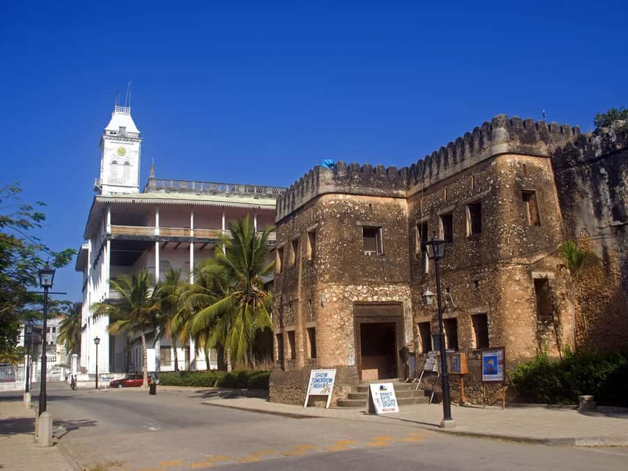 Stone Town's Hidden History: Private Guided Walking Tour - Seeing Stone Town through its carved doors and narrow lanes