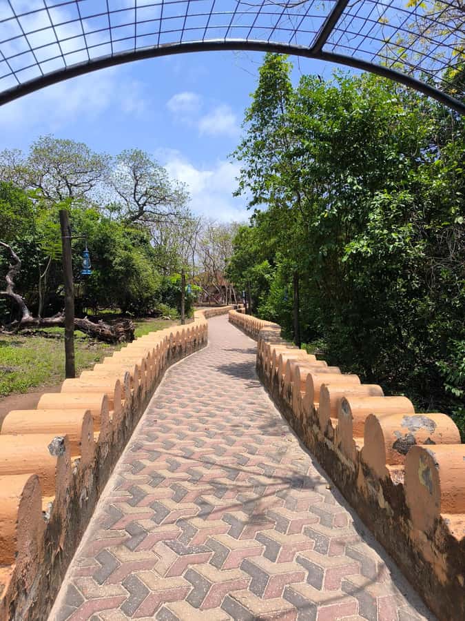 Stone town tour, Prison island and Nakupenda Sandbank - Key points to know before you go