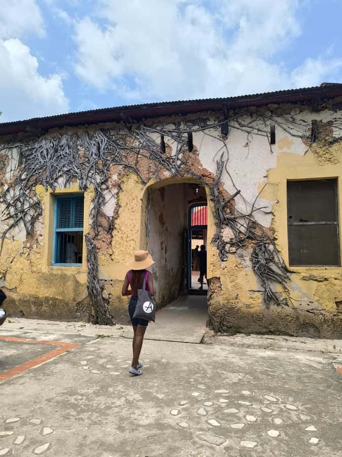 Stone town tour, Prison island and Nakupenda Sandbank - The speedboat ride from Zanzibar