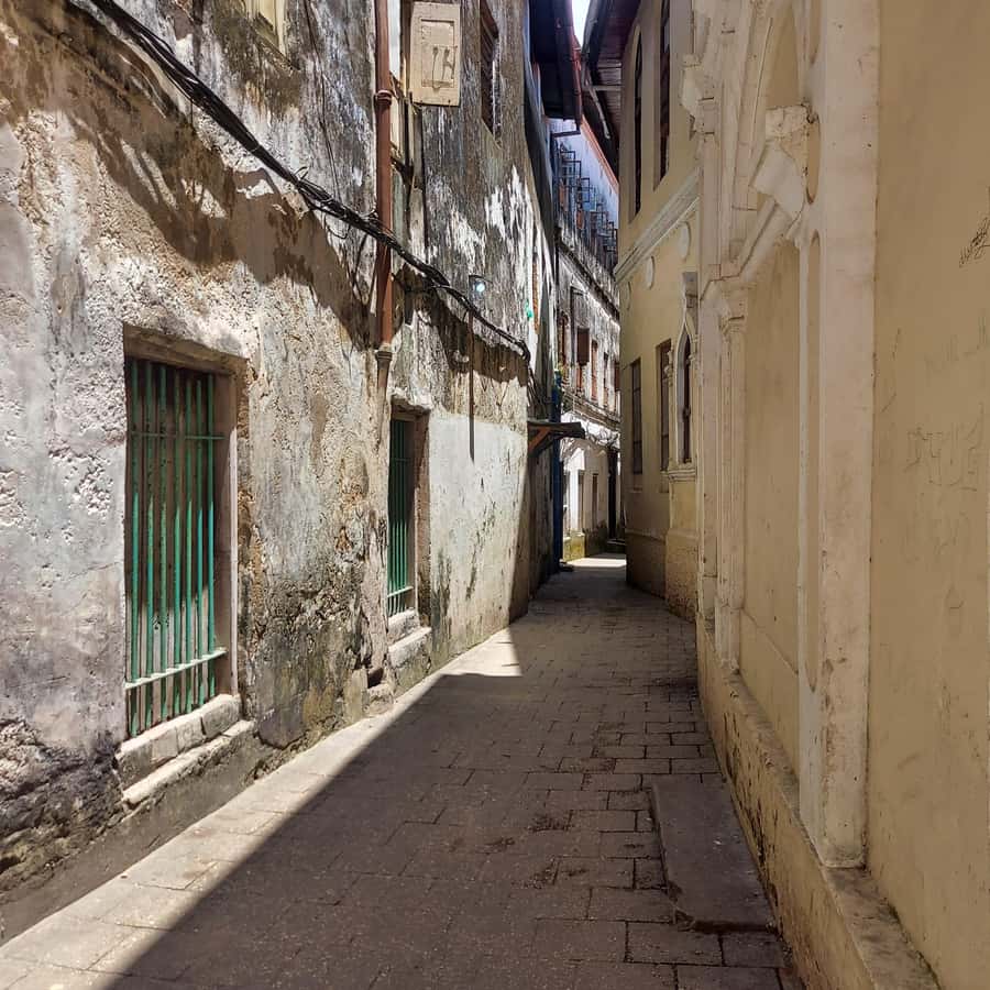 Stone town walking tour ( City tour) - The Old Fort and Freddie Mercury House