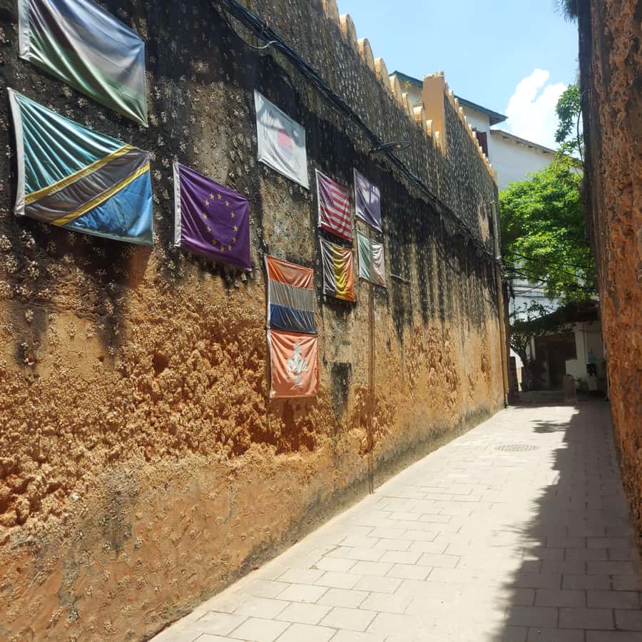 Stone town walking tour ( City tour) - The palace museum and Stone Town architecture