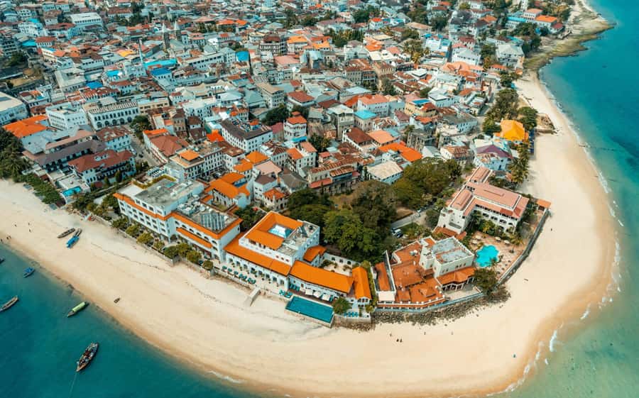 Stone town walking tour ( City tour) - Darajani Market and the fish auction