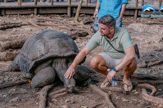 Stone Town with Prison Island - Meeting the giant tortoises