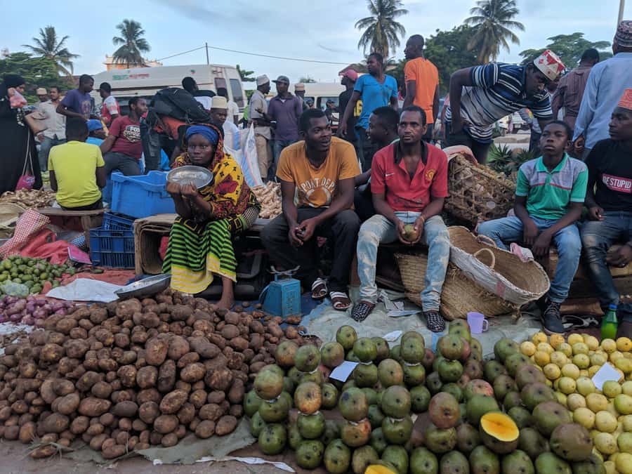 Stonetown Historical Walking Tour & Traditional Lunch - Palace Museum and the House of Wonder