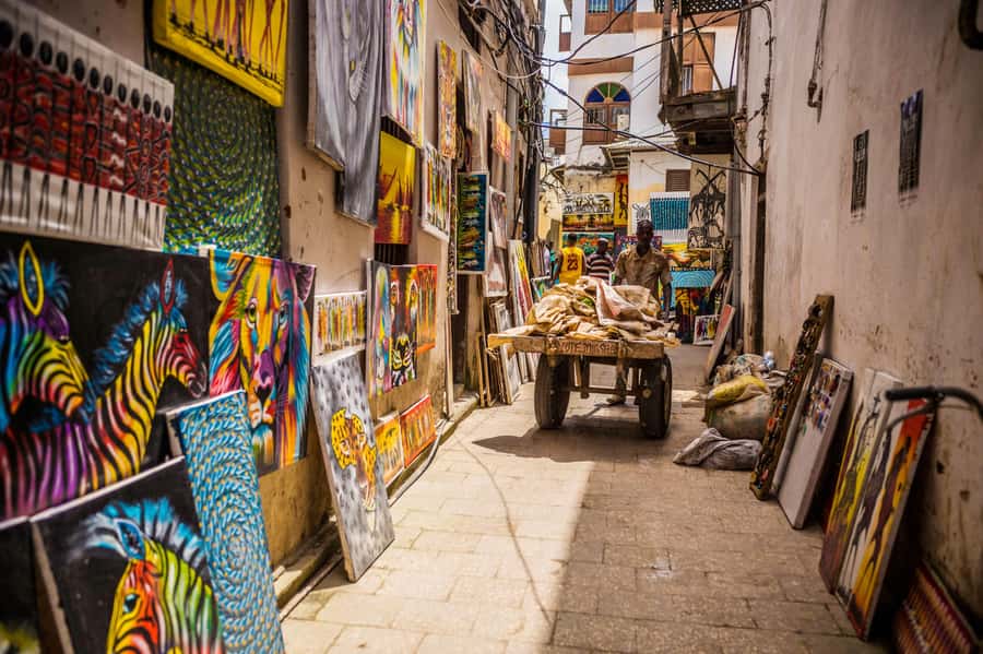 Stonetown & Prison island Cultural Tour - Why this Stone Town and Prison Island pairing works