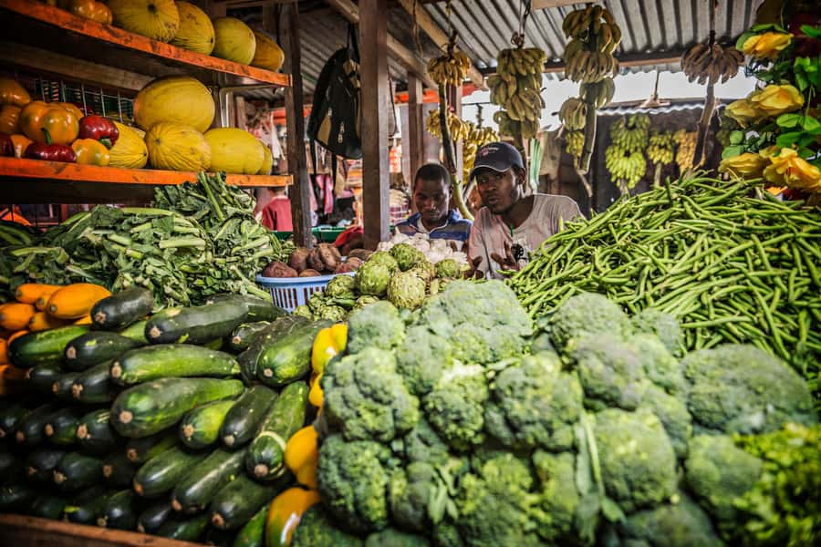 Stonetown & Prison island Cultural Tour - Returning to Stone Town and the hotel