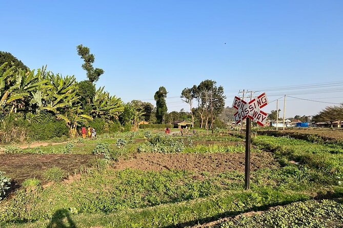 Street Food and Community Walking Tour - Starting at Kajo Art Gallery near the Maasai Market