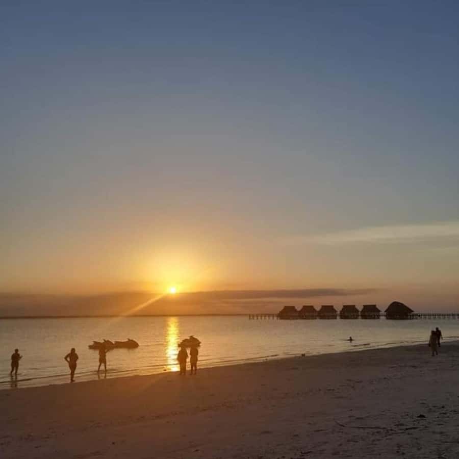 sunset dow Cruise at Kendwa Beach - Who should book this Kendwa dhow cruise?