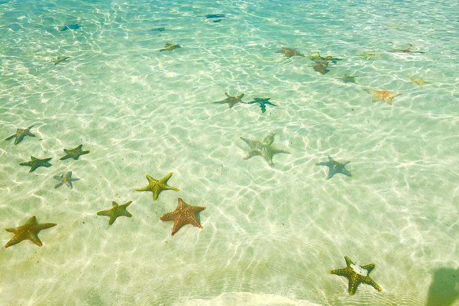 Super Zanzi, Nakupenda, Prison Island & Stone Town - Zanzibar - Who will get the most from this tour