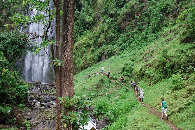 Swim to Materuni and Kikuletwa Hotspring - Key points to know before you book