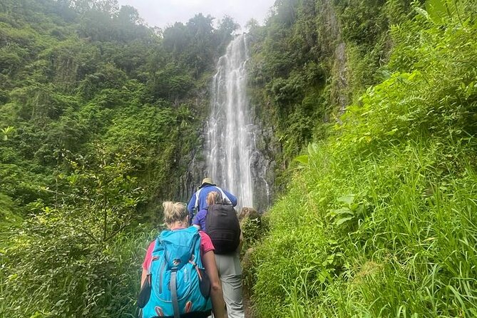 Swim to Materuni and Kikuletwa Hotspring - The transport, timing, and private format