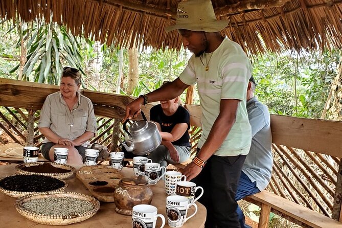 Swim to Materuni and Kikuletwa Hotspring - What the tour does well, and where it falls short