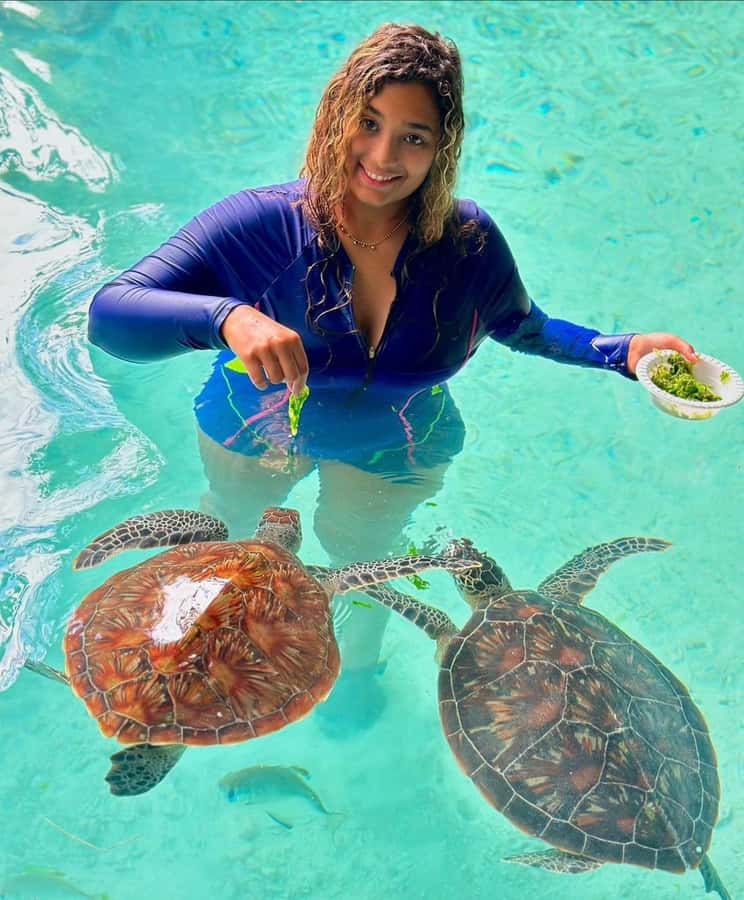 Swim with turtles at Salaam cave & The rock restaurant visit - Key details to know before booking