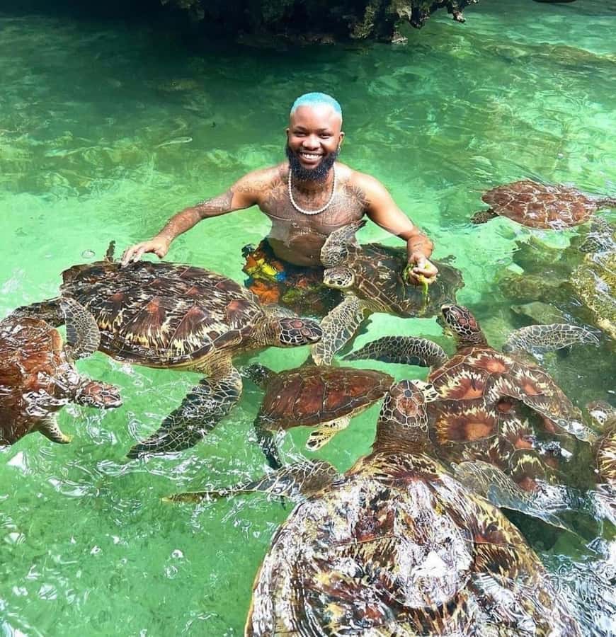 Swim with turtles at Salaam cave & The rock restaurant visit - Why this pairing works in one six-hour outing