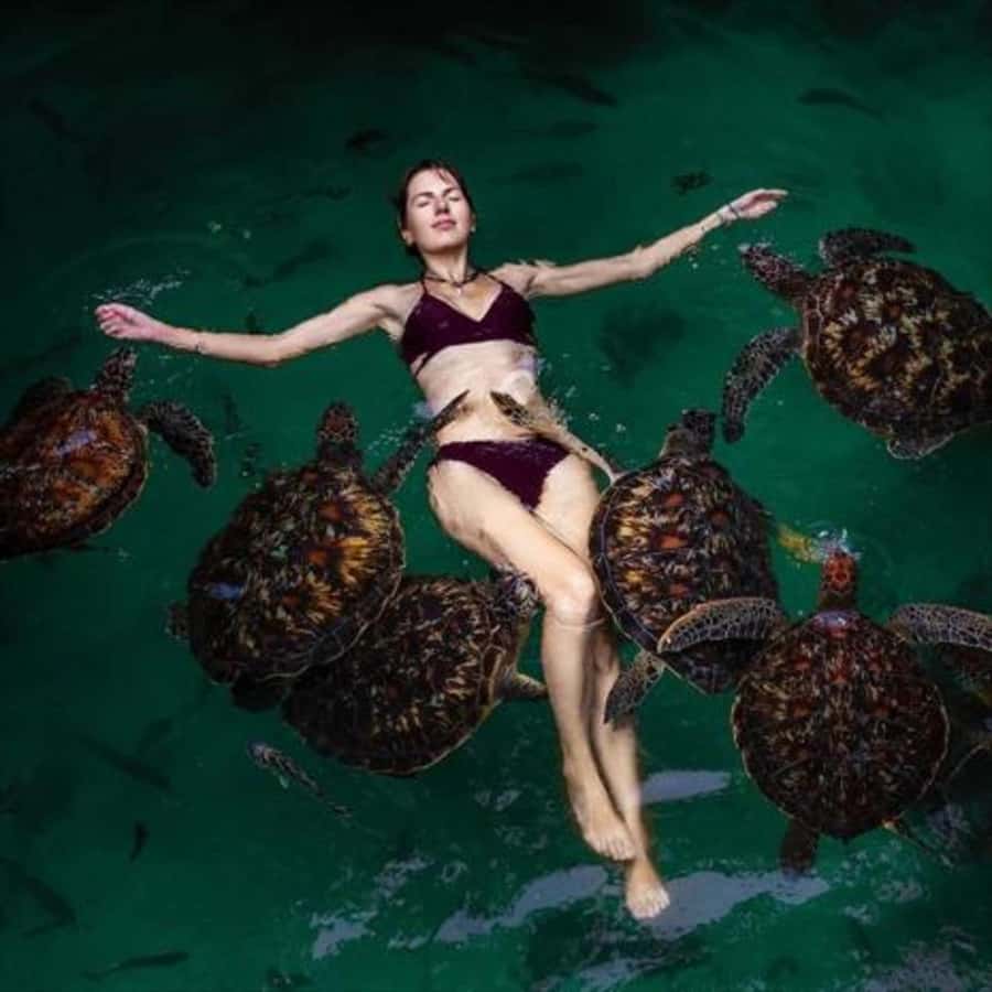 Swim with turtles at Salaam cave & The rock restaurant visit - The short transfer from Kizimkazi to Pingwe