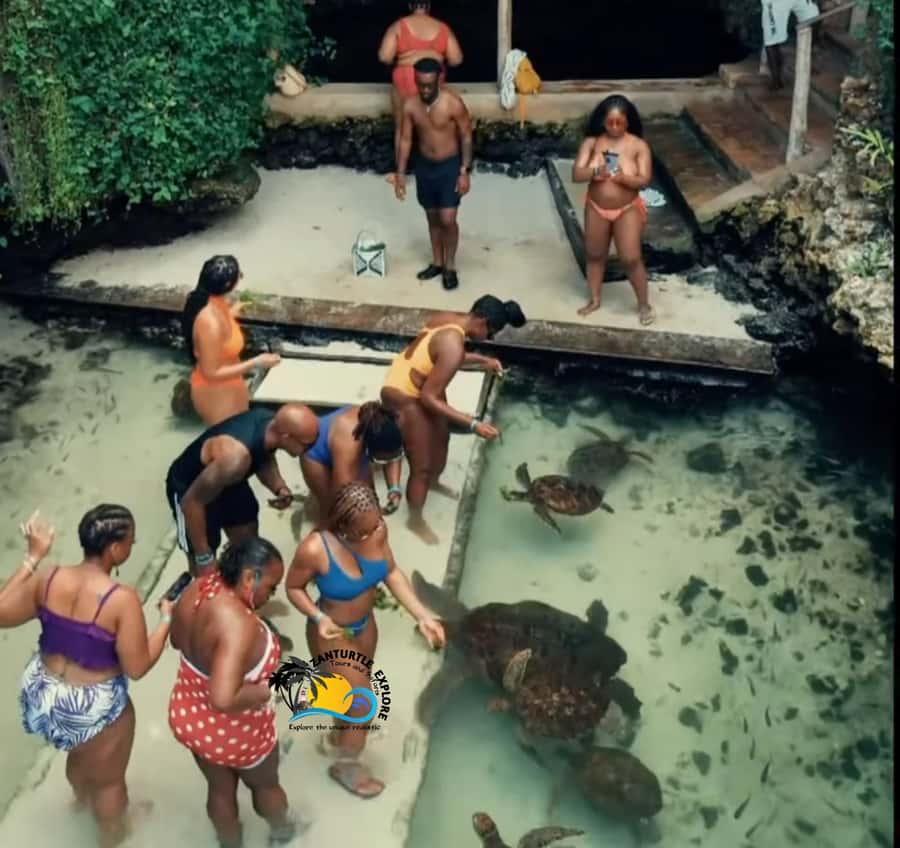 Swim with Turtles at The Lagoons Zanzibar & Stone Town Tour - Time, pace, and the value of a private group