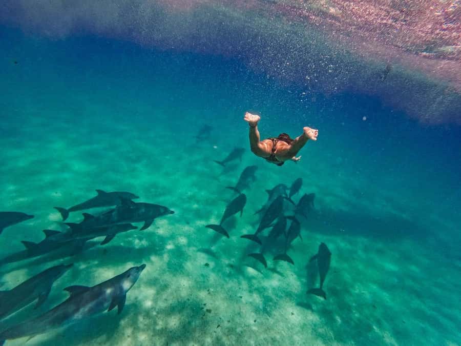 Swimming with dolphins in kizimkazi - Who should book this outing?