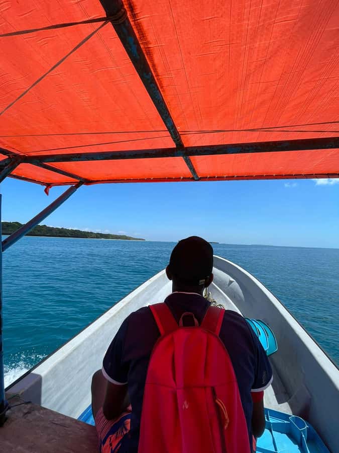 Swimming with dolphins in kizimkazi - Pickup from 12 Zanzibar locations