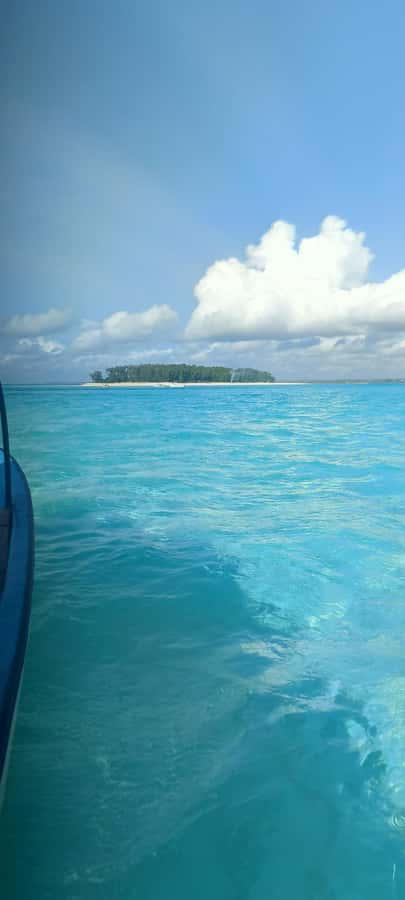 Swimming with tirltes at The Lagoons Zanzibar in Nungwi - Finding the lagoon in Nungwi
