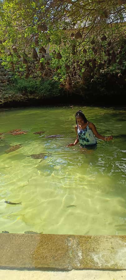 Swimming with tirltes at The Lagoons Zanzibar in Nungwi - Who should book this turtle swim?