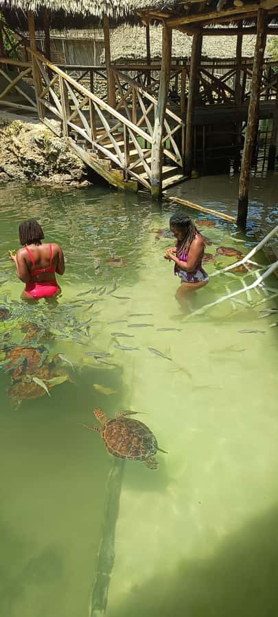 Swimming with tirltes at The Lagoons Zanzibar in Nungwi - Entering the natural aquarium