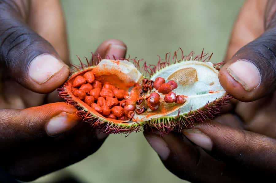 Tandem Clear Kayak, Spice Tour, Cooking Class with Lunch - Private guides, language choices, and service